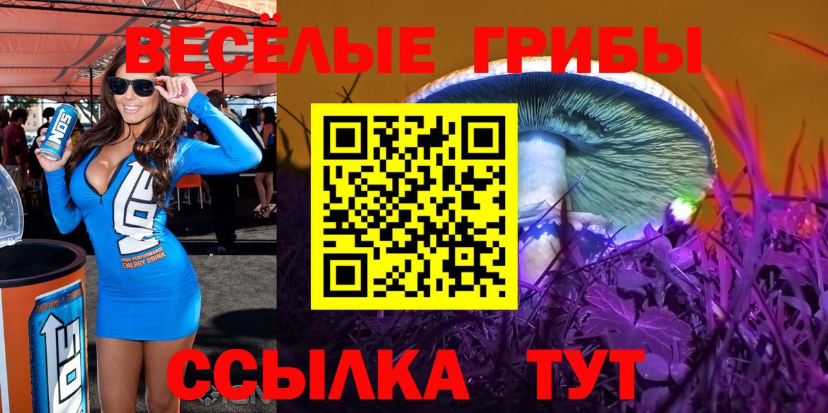 Псилоцибиновые грибы Psilocybine cubensis Нововоронеж